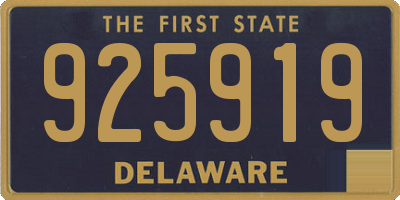 DE license plate 925919