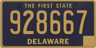 DE license plate 928667