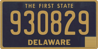 DE license plate 930829