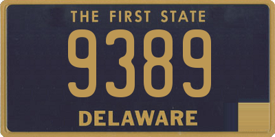DE license plate 9389