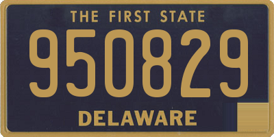 DE license plate 950829