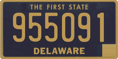 DE license plate 955091