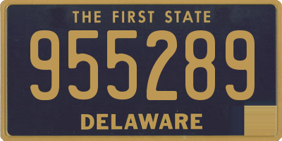 DE license plate 955289