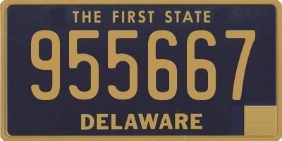 DE license plate 955667