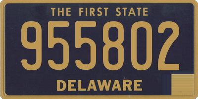 DE license plate 955802