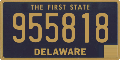 DE license plate 955818