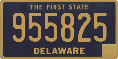 DE license plate 955825