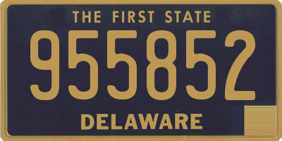 DE license plate 955852