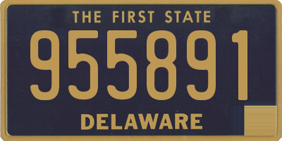 DE license plate 955891