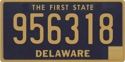 DE license plate 956318