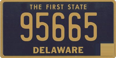 DE license plate 95665
