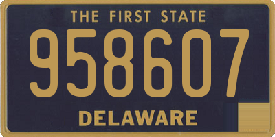 DE license plate 958607