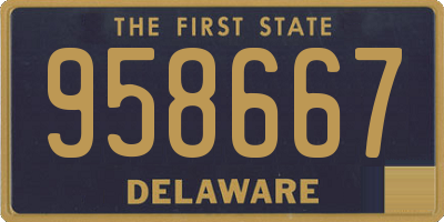 DE license plate 958667