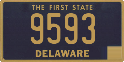 DE license plate 9593