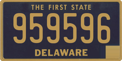 DE license plate 959596