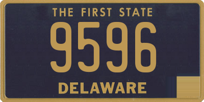 DE license plate 9596