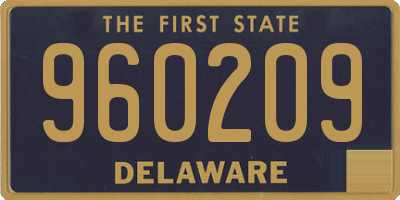 DE license plate 960209