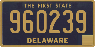 DE license plate 960239