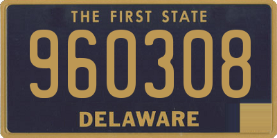 DE license plate 960308