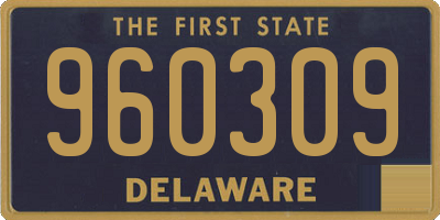DE license plate 960309