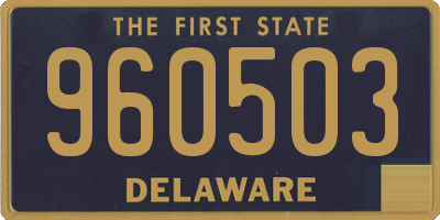 DE license plate 960503