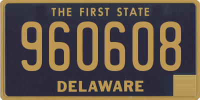 DE license plate 960608