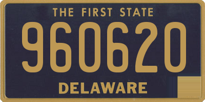 DE license plate 960620