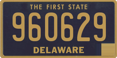 DE license plate 960629