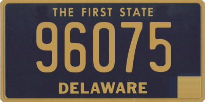 DE license plate 96075