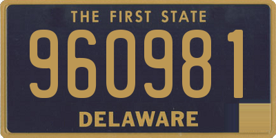 DE license plate 960981