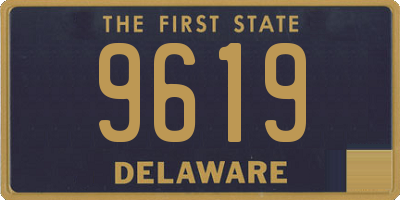 DE license plate 9619
