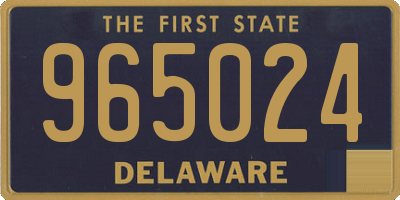 DE license plate 965024