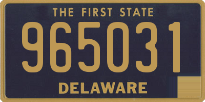 DE license plate 965031