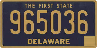 DE license plate 965036