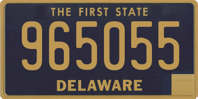 DE license plate 965055