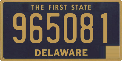 DE license plate 965081