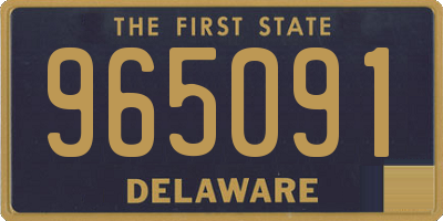 DE license plate 965091