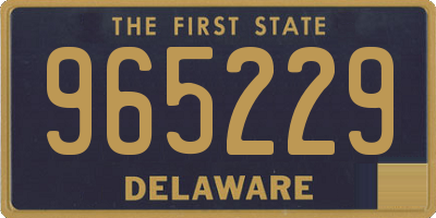 DE license plate 965229