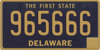 DE license plate 965666