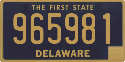 DE license plate 965981