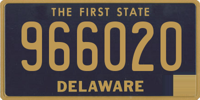 DE license plate 966020