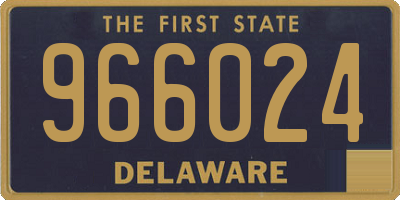 DE license plate 966024