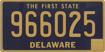 DE license plate 966025