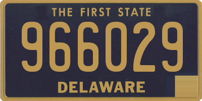 DE license plate 966029