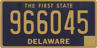 DE license plate 966045