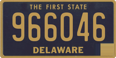 DE license plate 966046