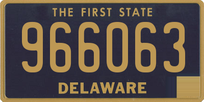 DE license plate 966063