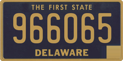 DE license plate 966065