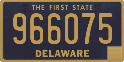 DE license plate 966075