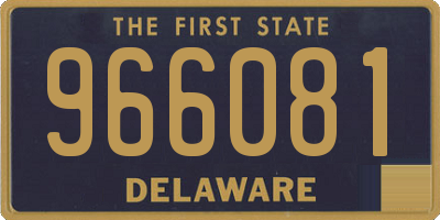 DE license plate 966081